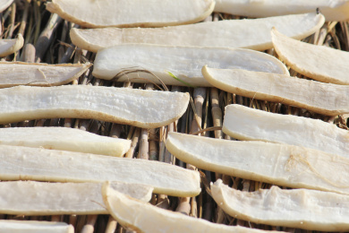 农家晾晒自制的白萝卜干