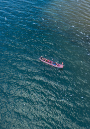 云南丽江泸沽湖海鸥与地貌