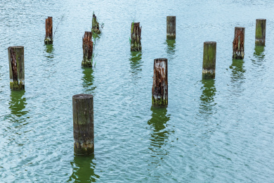 水中多只腐烂的木桩
