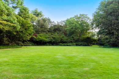 园林景观，嫩绿的草地与树林