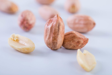 一颗竖立的花生米和花生放在白色背景上