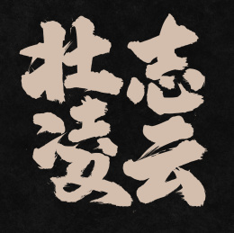 壮志凌云手写汉字书法字体字形中国风