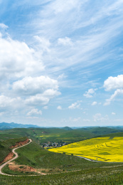 中国甘肃省甘南州卓尼油菜花风光