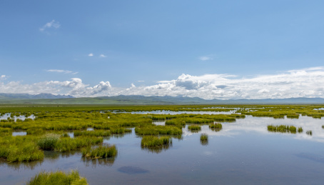 四川省若尔盖花湖风景区