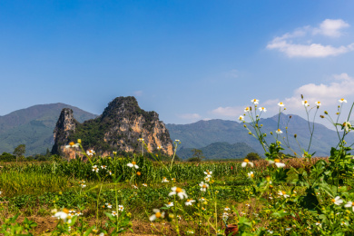 广东英德英西峰林骆驼峰