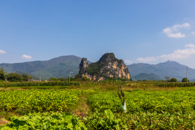 广东英德英西峰林骆驼峰