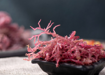浅灰色背景上摆放的盐渍南极冰藻红珍菜