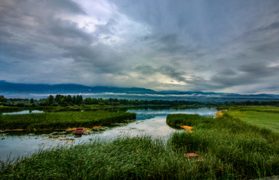 中国青海贵德县黄河清湿地公园风光