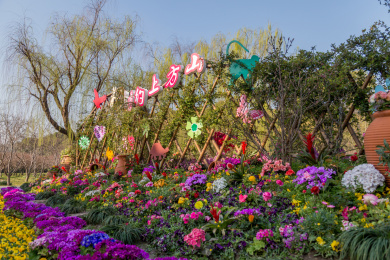 中国江苏苏州上方山森林公园景色。