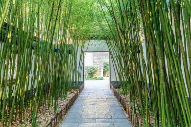 江苏省南京总统府景区复园内竹林庭院