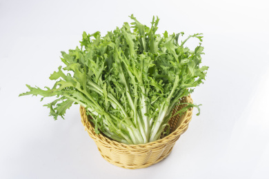 具有保健功效的蔬菜苦菊特写