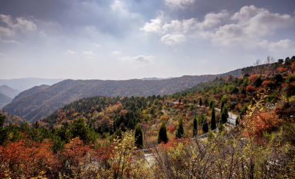 太行山风光 树 景观