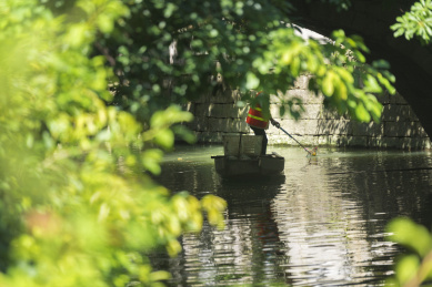 树叶掩映的桥洞下环卫工人在捞河道中的垃圾