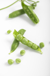 新鲜的豌豆荚白底图