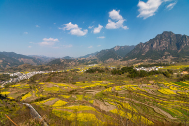 中国安徽省歙县家朋乡油菜花