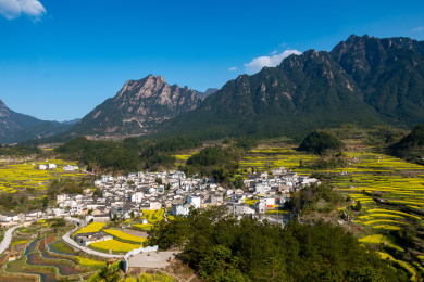 中国安徽省歙县家朋乡油菜花