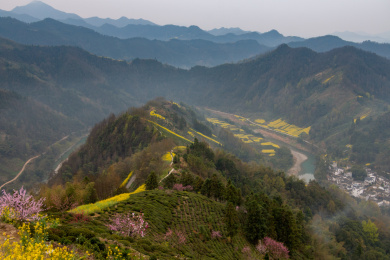 中国安徽省歙县石潭油菜花