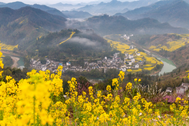 中国安徽省歙县石潭油菜花