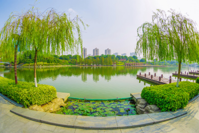 佛山城市千灯湖风景