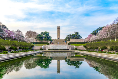 江苏省南京市雨花台风景区春天玉兰花盛开