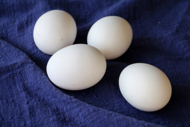 白色蛋壳的土鸡蛋 鸡蛋