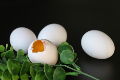 白色蛋壳的土鸡蛋