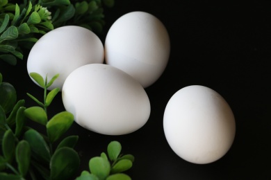 白色蛋壳的土鸡蛋