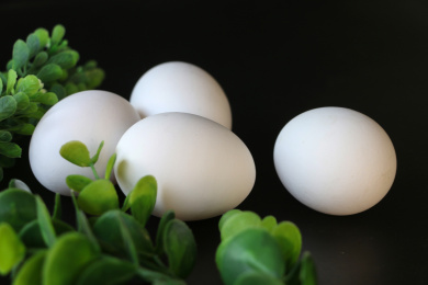 白色蛋壳的土鸡蛋