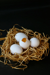 白色蛋壳的土鸡蛋