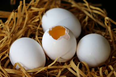 白色蛋壳的土鸡蛋