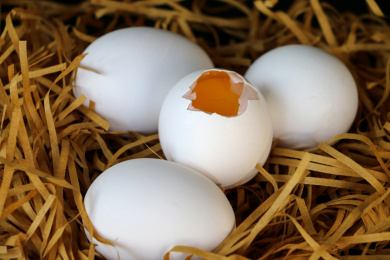 白色蛋壳的土鸡蛋