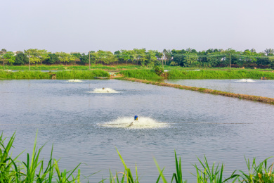 鱼塘养殖增氧机