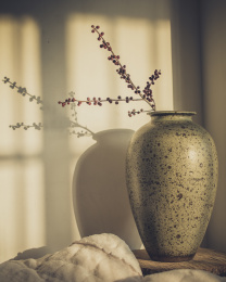 日落光线下花瓶和枝条在墙壁上投下影子