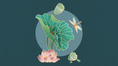 国潮中国风花卉荷花插画