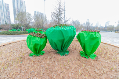 初春时节绿化带的里的遮蔽物