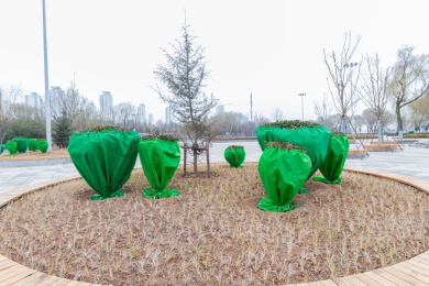 初春时节绿化带的里的遮蔽物