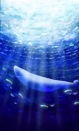 深海里一条鲸鱼在游动捕食插画背景