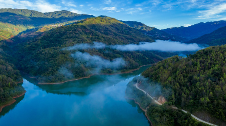 云南省临沧市双江勐库冰岛村