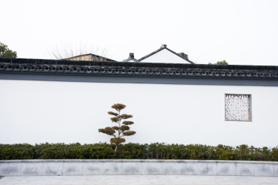 中国江苏苏州园林狮子林风光