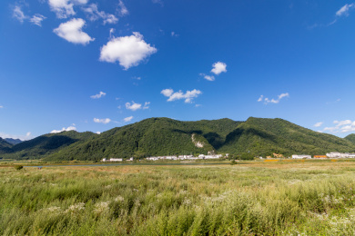 中国湖北省神农架林区大九湖
