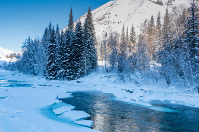 中国新疆阿勒泰地区喀纳斯雪景