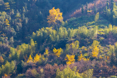 中国福建省政和县半岭村