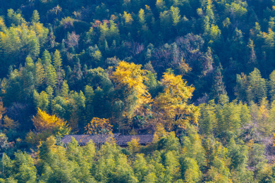 中国福建省政和县半岭村