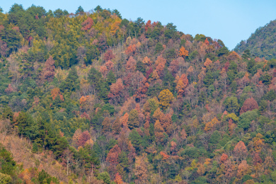 中国福建省政和县半岭村