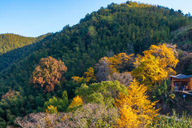 中国福建省政和县半岭村