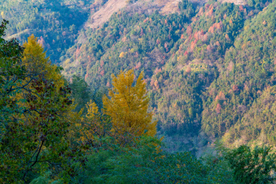 中国福建省政和县半岭村