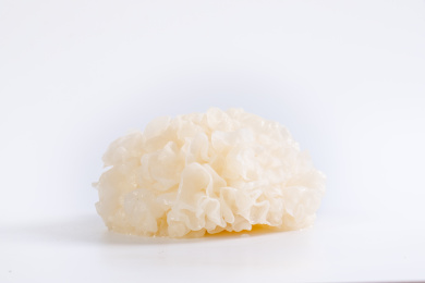 放在白色背景上的新鲜银耳