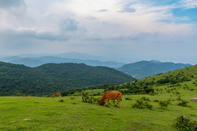 中国福建省福清市大姆山