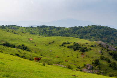 中国福建省福清市大姆山