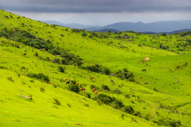中国福建省福清市大姆山